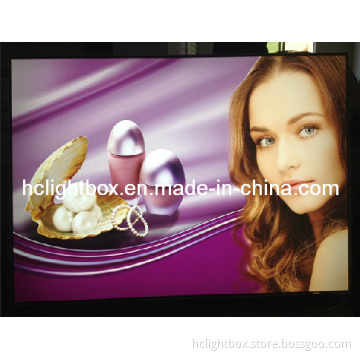 Shop Name Boards Frameless Tension Fabric Light Box
